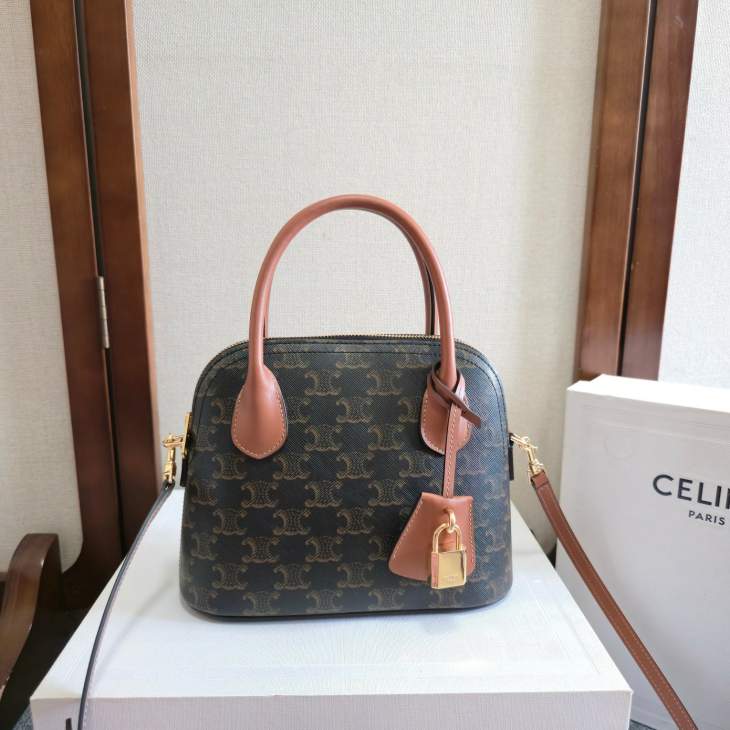 Picture of Celine Handbags _SKUfw225796213fw